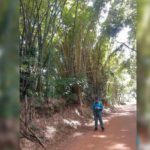 Eloizio Gomes Afonso Durães
