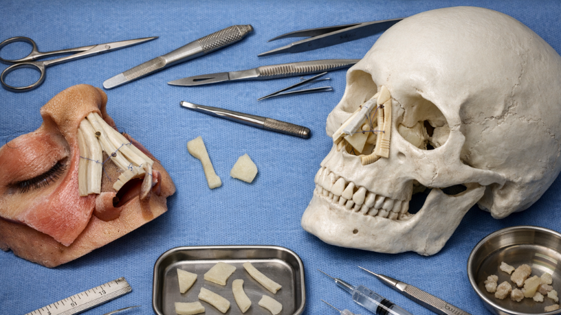 Haeckel Cabral Moraes