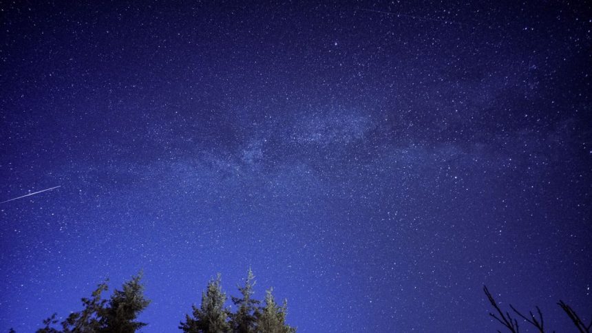 Meteoro riscando o céu estrelado acima da silhueta de uma floresta