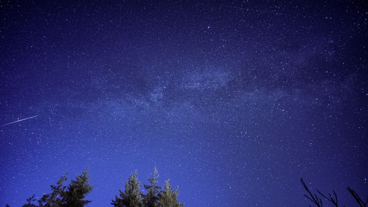 Meteoro riscando o céu estrelado acima da silhueta de uma floresta